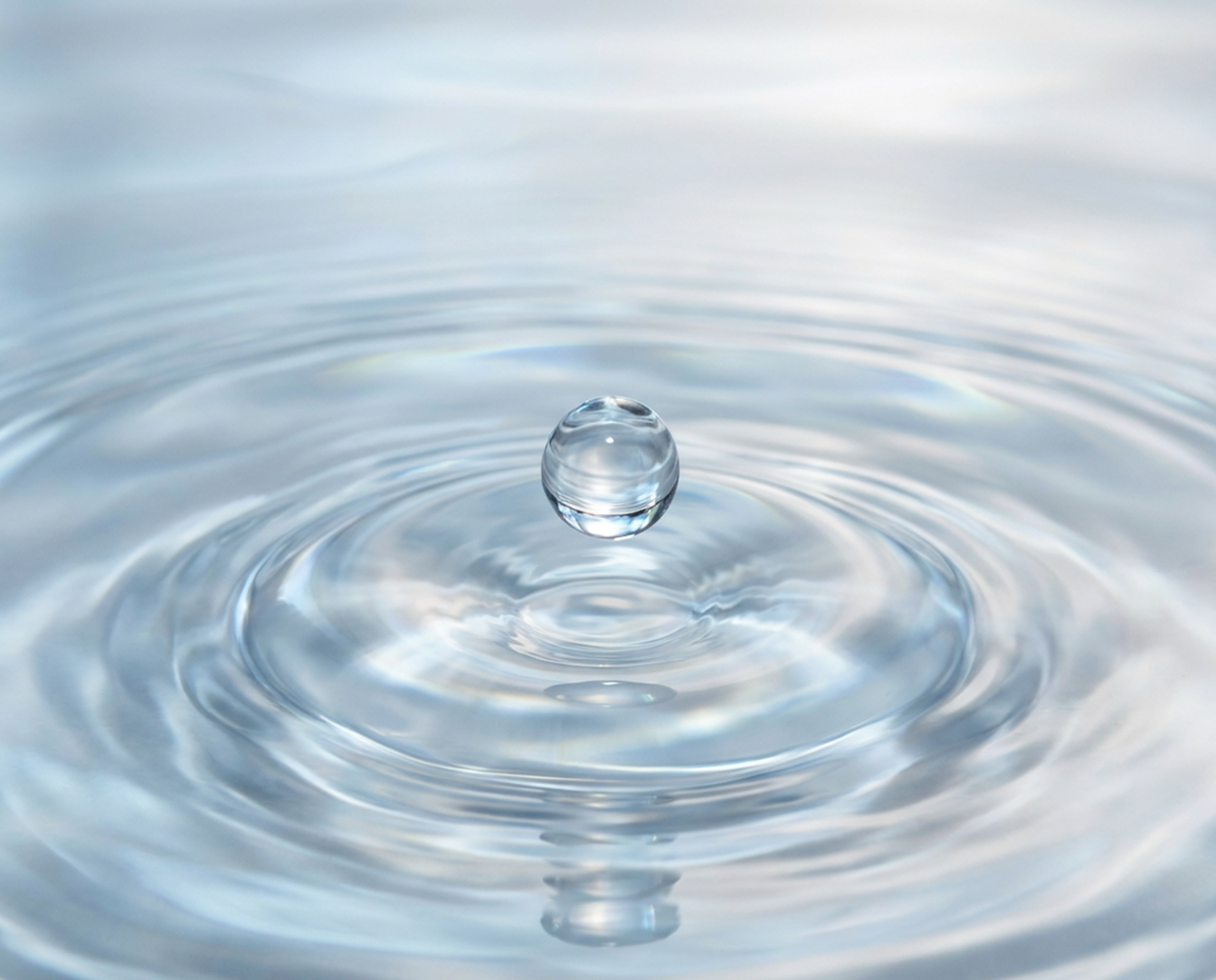 La Lotion Florale – Image 4